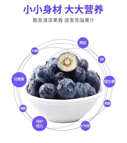 【云南抚仙湖 湖边蓝莓】果肉饱满，酸甜可口，较同品类果花青素、维生素等的常规营养成分含量更胜一筹,含有极为丰富的黄酮类和多糖类化合物，顺丰空运 商品图7