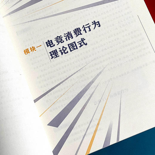 电子竞技用户消费行为 华东师范大学电竞产业发展研究中心 商品图6