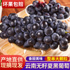【AN】云南高原夏黑葡萄 商品缩略图0