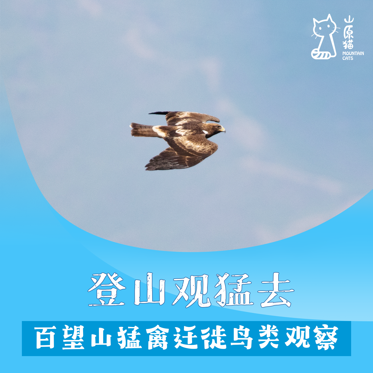 【山原猫PLUS×蔡司 】「04月12日 周日上午」 登山观猛去 · 百望山猛禽迁徙鸟类观察