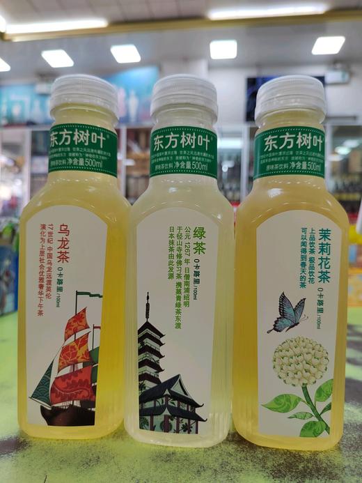 东方树叶原味茶饮料500ml 商品图0