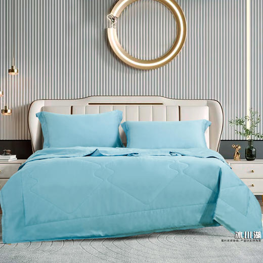 鑫缘 夏凉可水洗纯蚕丝被 AEPF0320 商品图0