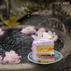 【蝶舞】蓝莓芒果 商品缩略图3