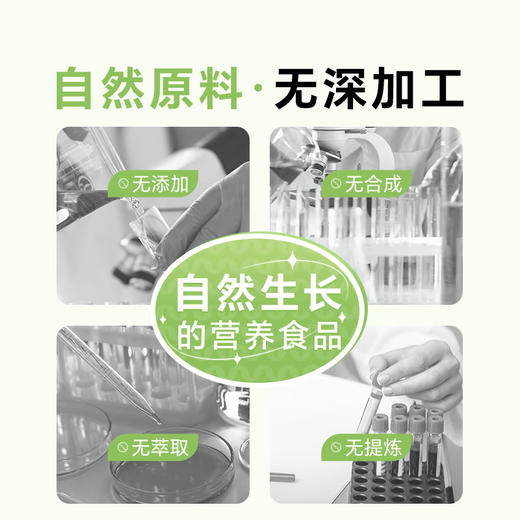 【12.12年终盛典】买6送500粒 绿a螺旋藻片0.25g*500片筒装 植物双蛋白 均衡营养 商品图4