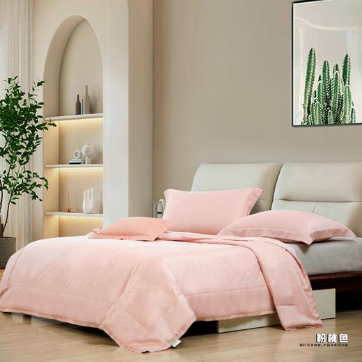 鑫缘 夏凉可水洗纯蚕丝被 AEPF0320 商品图2