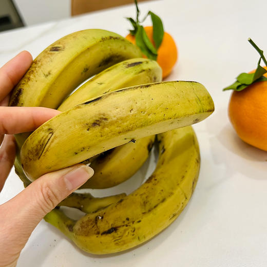 【满2件减5元】天宝香蕉 树上自然8成熟无农残不打除草剂不打膨大剂自然生长两干多年种植历史 商品图4