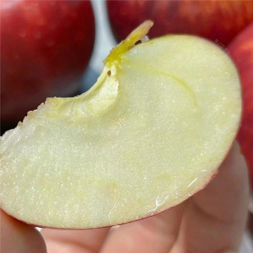 【2026新货！新西兰加力果】当季鲜采的进口小苹果， 营养丰富！果皮微厚微硬，肉质酥脆，酸酸甜甜，满满苹果香味，是家庭常备的健康果，进口苹果中性价比较高的一款。江浙沪皖顺丰包邮~ 商品图0