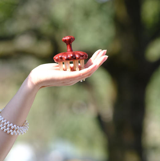 【奕虹精选】常州非遗梳篦邢粮木艺紫檀木材质+绵羊角 经络按摩木梳 养发头疗 商品图4