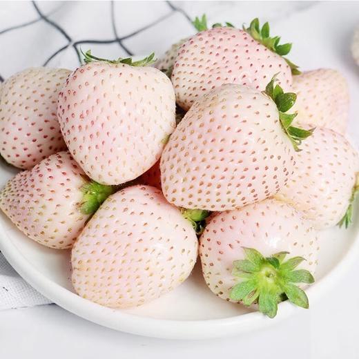 秒杀-淡雪白草莓/盒 商品图1