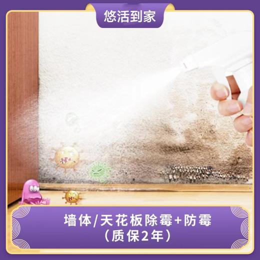 专业除霉、防霉 墙体、天花板除霉/防霉（仅限广州,从化、花都不服务） 商品图2