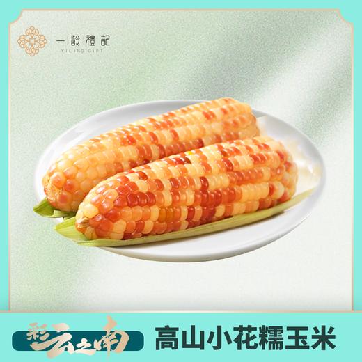 【云南】花糯玉米/拇指玉米·云南老品种 非转基因·香糯甜无麸质|云南伴手礼 商品图0