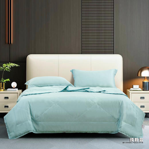 鑫缘 夏凉可水洗纯蚕丝被 AEPF0320 商品图1