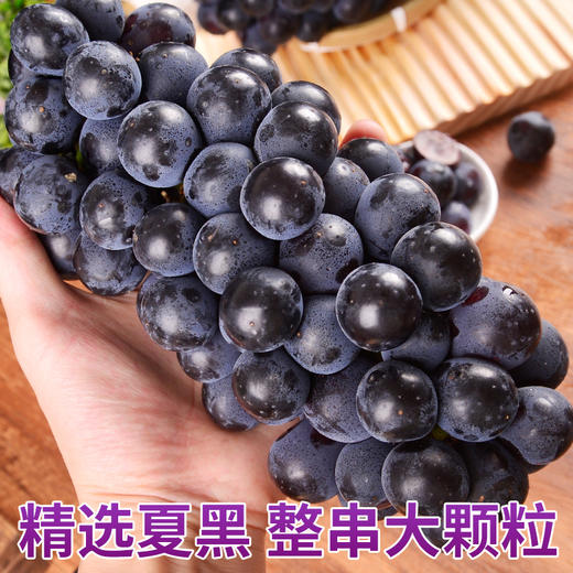 【AN】云南高原夏黑葡萄 商品图4