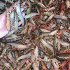 【野生海杂虾】纯正野生海虾，速冻锁鲜，肉质Q弹，营养美味，妈鲜乐广东潮汕海鲜基地发货 商品缩略图1