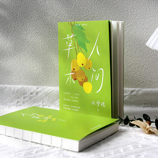 《人间草木》新版+《人间有味》新版 商品图2