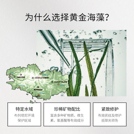 【340元会员福利】珂蒂丝紧致修护焕采面膜75ml  商品图2