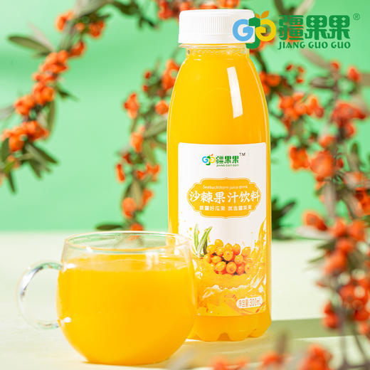 疆果果 沙棘果汁300ml*10 商品图7