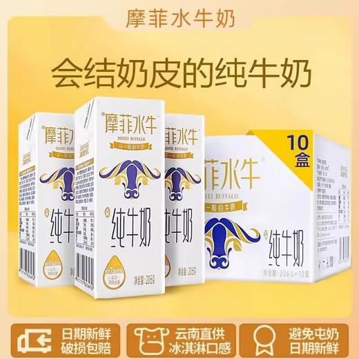 摩菲水牛高钙牛奶优质乳蛋白营养健康 商品图3