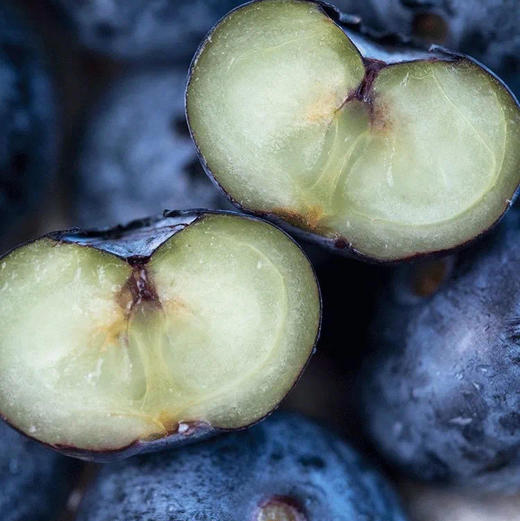 【云南抚仙湖 湖边蓝莓】果肉饱满，酸甜可口，较同品类果花青素、维生素等的常规营养成分含量更胜一筹,含有极为丰富的黄酮类和多糖类化合物，顺丰空运 商品图8
