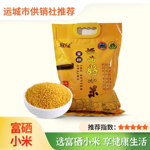 【舜绿】山西富硒垣曲好小米袋装2500g 商品图0