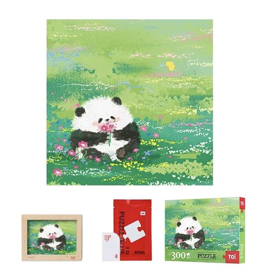 【半山书局】B座14F丨TOI-10286《熊猫花花观察记Ⅰ》 商品图0