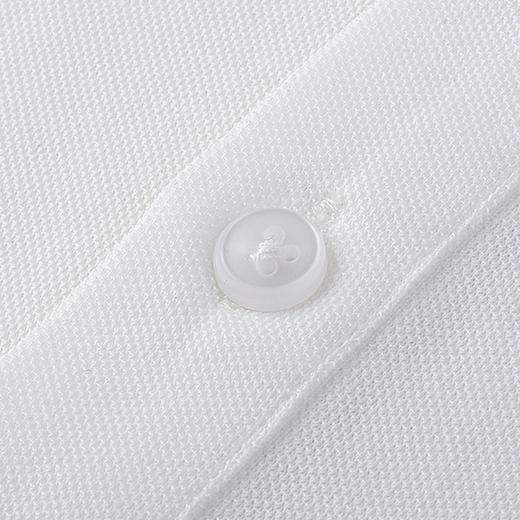 14LP5828【含桑蚕丝】罗蒙男士夏季薄款polo衫男短袖男冰爽透气男士短袖t恤男 商品图8