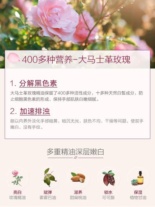 捷克菠丹妮玫瑰脸部嫩白乳液保湿减化细纹亮肤色100g  日期26年10月 商品图2