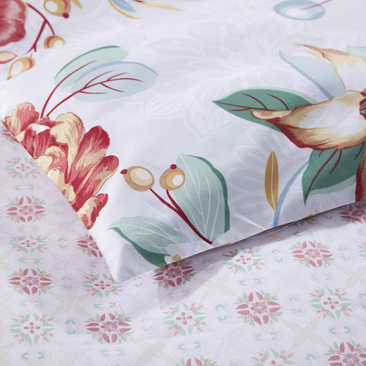 富安娜  磨毛四件套-芳华初韵 商品图2