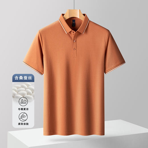 【含桑蚕丝】罗蒙男士夏季polo衫男短袖商务休闲男士t恤短袖polo衫 商品图3