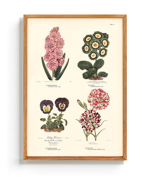 伽罗 JALO 精细微喷印植物画系列【下单后10个工作日内发货】 商品图3