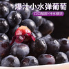 【AN】云南高原夏黑葡萄 商品缩略图3