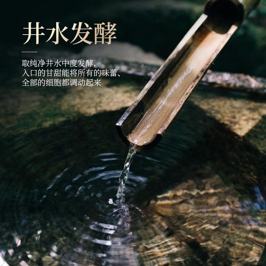 勐乐山普洱2024年玄武熟茶357g 商品图2