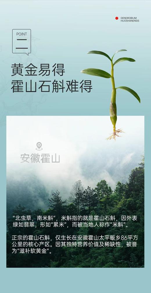 霍山真石斛原浆 无增稠剂 无色素 无香精 商品图4