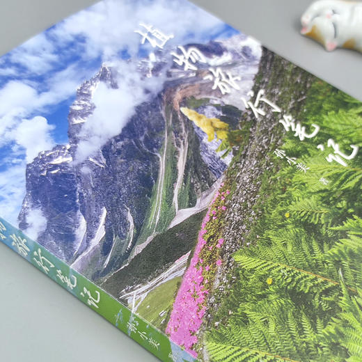 植物旅行笔记（ 孙小美 著）【天冬、余天一联袂推荐】 商品图2