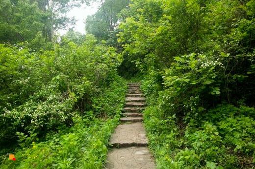 4月18日【玉渡山转山节】第三届 “转山节”延庆・玉渡山徒步越野赛 商品图9