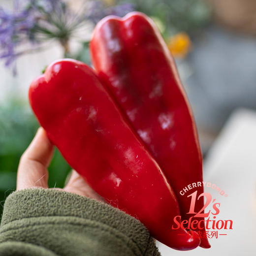 水果甜椒糖宝椒 推荐生吃 脆甜多汁丝毫不辣 顺丰京东随机 商品图14