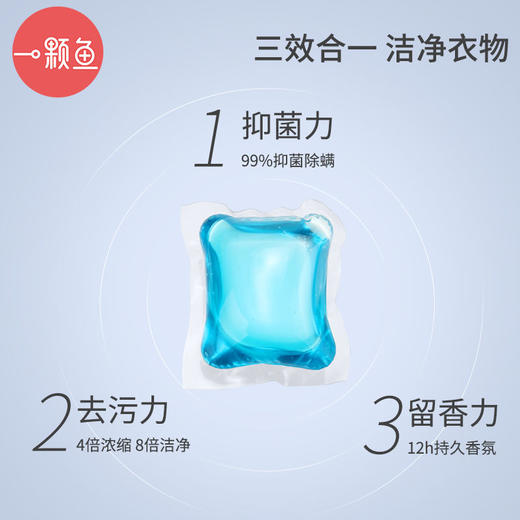洗衣凝珠三效合一除螨除菌去污洗衣液持久留香珠洗衣服新品特价装 商品图4