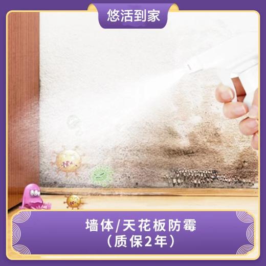 专业除霉、防霉 墙体、天花板除霉/防霉（仅限广州,从化、花都不服务） 商品图1