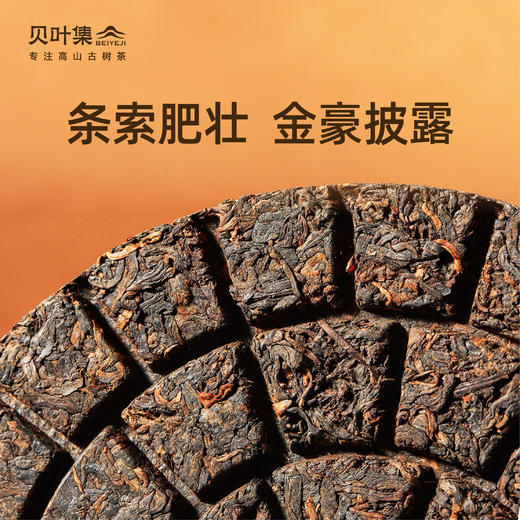 可以手撕的6年老熟普临沧甜韵枣香顺滑大树春茶细腻可闷泡200g/饼 商品图2