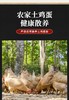 【活珠子】揽星13天活珠子毛鸡蛋5枚装 商品缩略图2