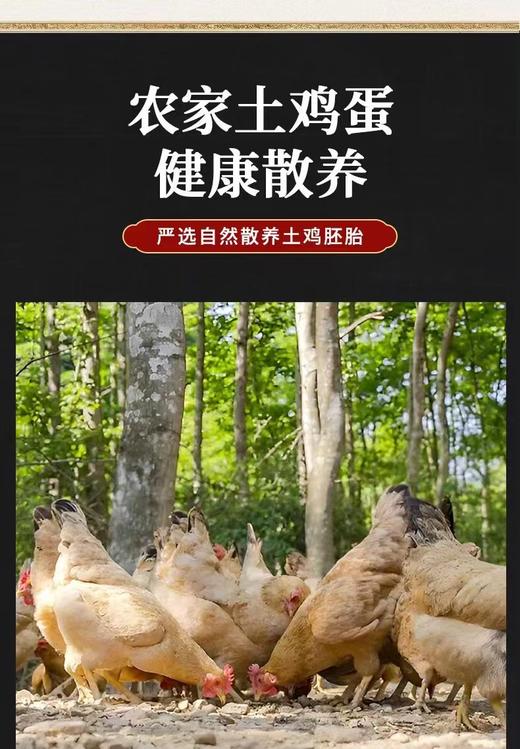 【活珠子】揽星13天活珠子毛鸡蛋5枚装 商品图2