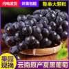 【AN】云南高原夏黑葡萄 商品缩略图1