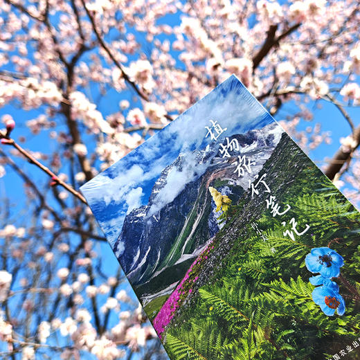 植物旅行笔记（ 孙小美 著）【天冬、余天一联袂推荐】 商品图3