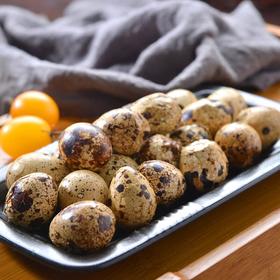 香卤鹌鹑蛋 165g/份