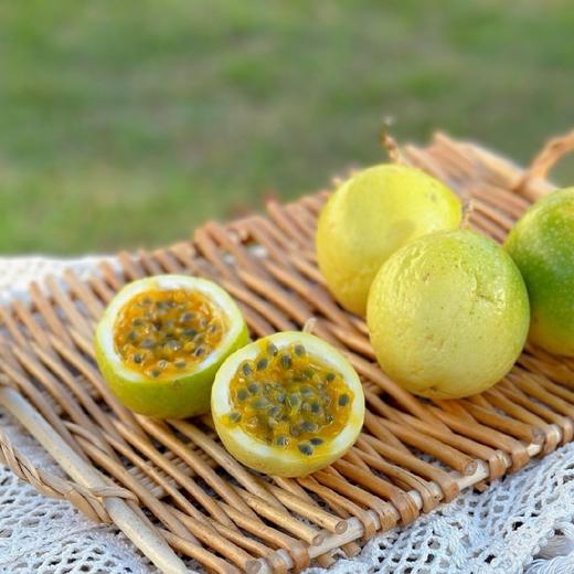 树上熟海南钦蜜9号百香果  7甜3酸   精品果 商品图3