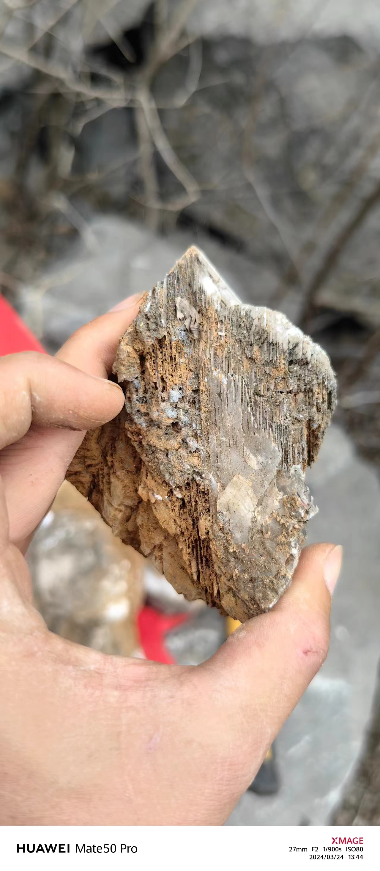 北京西山地质化石之旅