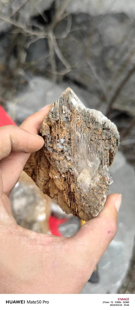 北京西山地质化石之旅 商品图0