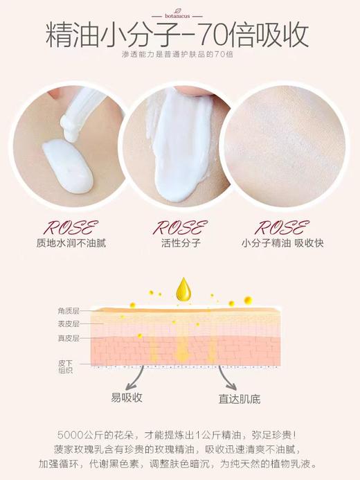 捷克菠丹妮玫瑰脸部嫩白乳液保湿减化细纹亮肤色100g  日期26年10月 商品图3