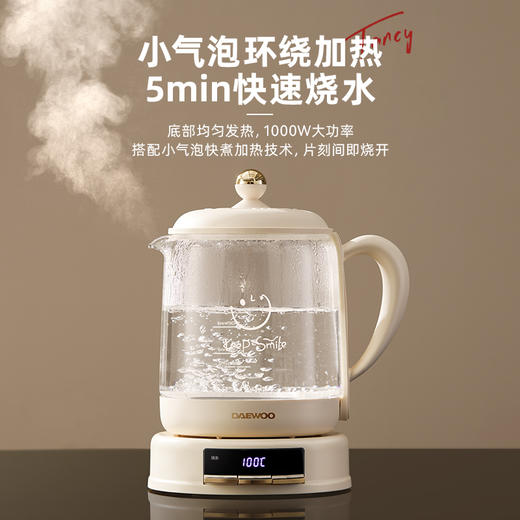 【大宇】小气泡养生壶YS11 商品图4