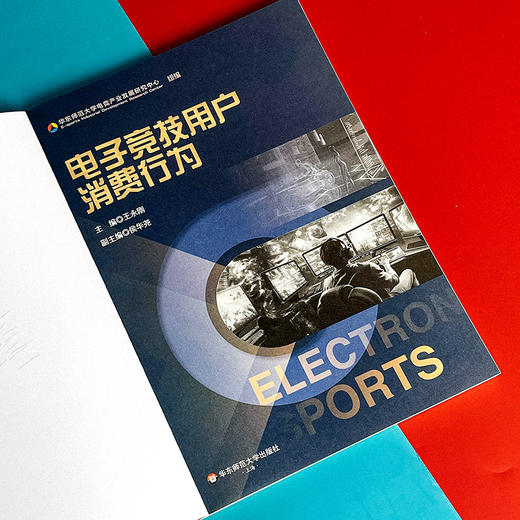 电子竞技用户消费行为 华东师范大学电竞产业发展研究中心 商品图4